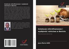 Copertina di Instytucje mikrofinansowe i wydajność rolnictwa w Beninie