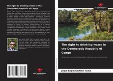 The right to drinking water in the Democratic Republic of Congo kitap kapağı