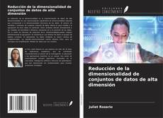 Reducción de la dimensionalidad de conjuntos de datos de alta dimensión kitap kapağı