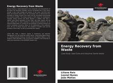 Buchcover von Energy Recovery from Waste