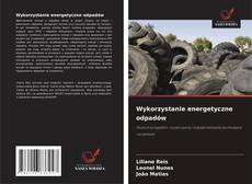 Wykorzystanie energetyczne odpadów的封面