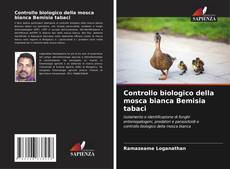 Couverture de Controllo biologico della mosca bianca Bemisia tabaci