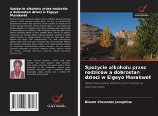 Couverture de Spożycie alkoholu przez rodziców a dobrostan dzieci w Elgeyo Marakwet