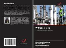 Wdrożenie 5S kitap kapağı