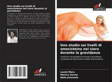 Copertina di Uno studio sui livelli di omocisteina nel siero durante la gravidanza
