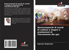 Copertina di Nanocompositi di ossidi di cadmio e stagno e prestazioni di rilevamento dei gas