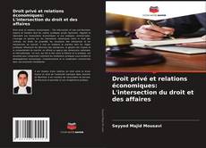 Droit privé et relations économiques: L'intersection du droit et des affaires的封面