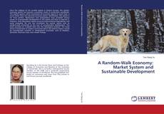 A Random-Walk Economy: Market System and Sustainable Development的封面