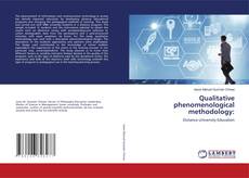 Buchcover von Qualitative phenomenological methodology: