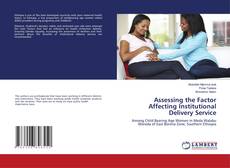 Copertina di Assessing the Factor Affecting Institutional Delivery Service