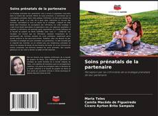 Bookcover of Soins prénatals de la partenaire