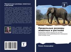 Buchcover von Предельные размеры животных и растений