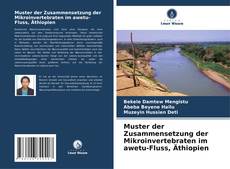 Bookcover of Muster der Zusammensetzung der Mikroinvertebraten im awetu-Fluss, Äthiopien