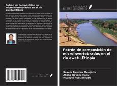 Bookcover of Patrón de composición de microinvertebrados en el río awetu,Etiopía
