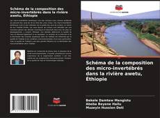 Обложка Schéma de la composition des micro-invertébrés dans la rivière awetu, Éthiopie