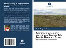 Copertina di Umweltanalyse in der Lagune von Carmen, Isla Grande Tierra del Fuego