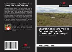 Environmental analysis in Carmen Lagoon, Isla Grande Tierra del Fuego kitap kapağı