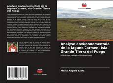 Capa do livro de Analyse environnementale de la lagune Carmen, Isla Grande Tierra del Fuego 