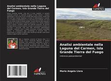 Portada del libro de Analisi ambientale nella Laguna del Carmen, Isla Grande Tierra del Fuego