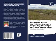Buchcover von Анализ состояния окружающей среды в лагуне Кармен, остров Гранде Огненная Земля