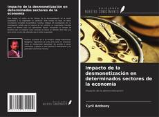 Impacto de la desmonetización en determinados sectores de la economía kitap kapağı