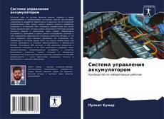 Capa do livro de Система управления аккумулятором 