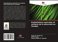 Exploitations agricoles et analyse de la pauvreté au Soudan kitap kapağı
