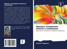 Bookcover of Процесс внедрения eSocial в компаниях