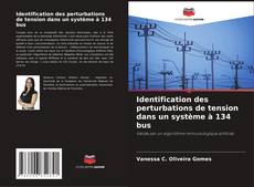 Bookcover of Identification des perturbations de tension dans un système à 134 bus
