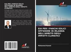 Bookcover of EIA PER I PARCHI EOLICI OFFSHORE IN IRLANDA NELL'AMBITO DEGLI IMPATTI CLIMATICI