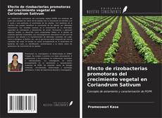 Bookcover of Efecto de rizobacterias promotoras del crecimiento vegetal en Coriandrum Sativum