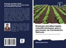 Bookcover of Влияние ризобактерий, способствующих росту растений, на Coriandrum Sativum