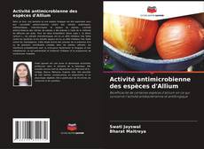 Обложка Activité antimicrobienne des espèces d'Allium