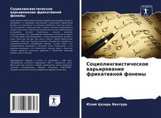 Bookcover of Социолингвистическое варьирование фрикативной фонемы