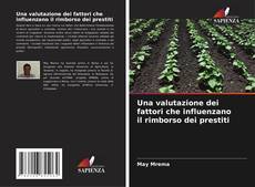 Bookcover of Una valutazione dei fattori che influenzano il rimborso dei prestiti