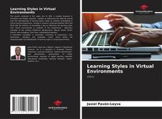 Copertina di Learning Styles in Virtual Environments