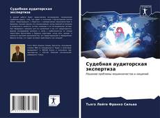 Судебная аудиторская экспертиза kitap kapağı