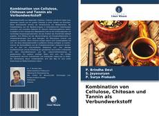 Bookcover of Kombination von Cellulose, Chitosan und Tannin als Verbundwerkstoff