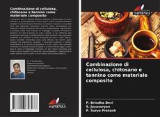 Bookcover of Combinazione di cellulosa, chitosano e tannino come materiale composito