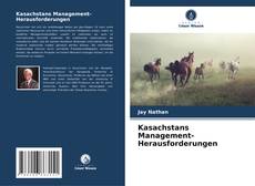 Bookcover of Kasachstans Management-Herausforderungen
