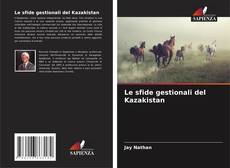 Bookcover of Le sfide gestionali del Kazakistan