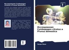 Исследования Cymbopogon citratus и Prunus domestica kitap kapağı