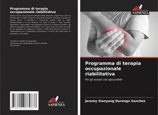 Bookcover of Programma di terapia occupazionale riabilitativa