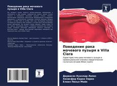 Capa do livro de Поведение рака мочевого пузыря в Villa Clara 