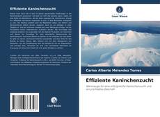 Portada del libro de Effiziente Kaninchenzucht