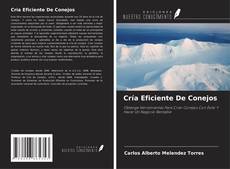 Bookcover of Cría Eficiente De Conejos