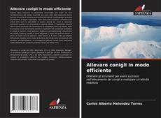 Bookcover of Allevare conigli in modo efficiente