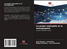 Обложка Le projet réalisable et la monographie