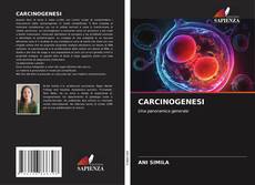 Copertina di CARCINOGENESI