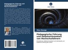 Buchcover von Pädagogische Führung und Selbstwirksamkeit von Hochschullehrern